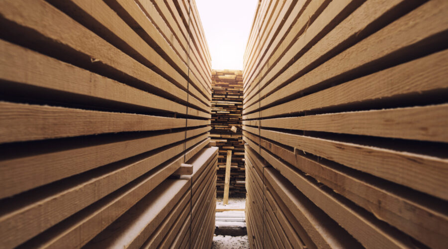Holzlager mit gut durchgetrocknetem Holz als Rohstoff der MBE-Häuser von DigiCon.house